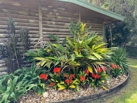 Mallacoota Log Cabins - Hobart Tourism 2