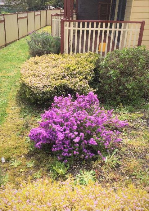 Marsden Court Apartments Now Incorporating Marsden Court And Sharonlee Strahan Villas - Tourism TAS 2