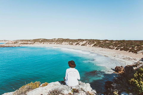 Modern House Close To CBD & Adelaide Oval - Tourism TAS 3