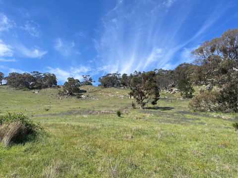 Moonrise Hill - Tourism TAS 2