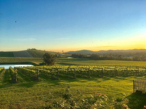Mount Hope Estate Vineyard - Tourism TAS 0