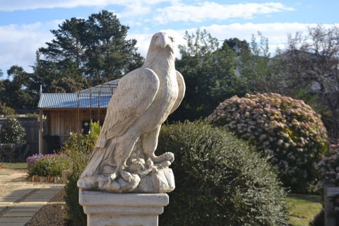 Mulberry Cottage Unique B&B Accommodation - Tourism TAS 2