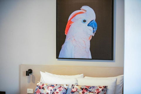 Nightcap At The Charles Hotel - Tourism TAS 3