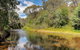 On The River, Porepunkah - Bright VIC - thumb 3