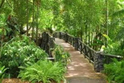 Paddington Pad With Back Deck And Free Car Space Close To Suncorp - Tourism TAS 2