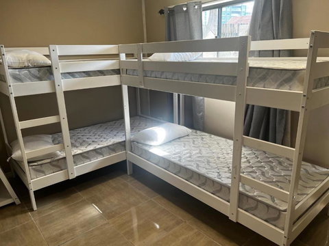 Palm Backpackers - Tourism TAS 0