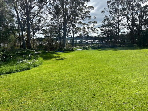 Peacock - Hobart Tourism 0