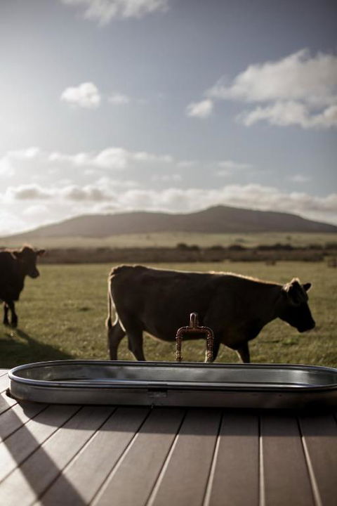 Peter The Tiny Cabin In Esperance - Hobart Tourism 1