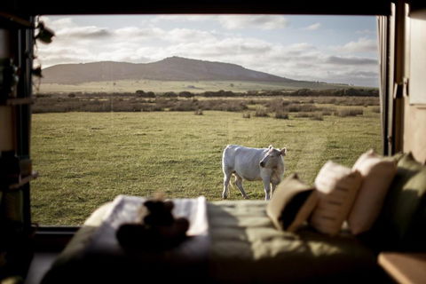 Peter The Tiny Cabin In Esperance - Hobart Tourism 0