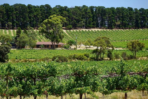 Picturesque Vineyard Farmhouse Nestled On 40-Acres - Hobart Tourism 0
