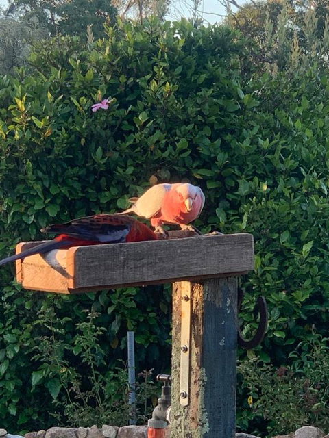 Pier 9 - Tourism TAS 3