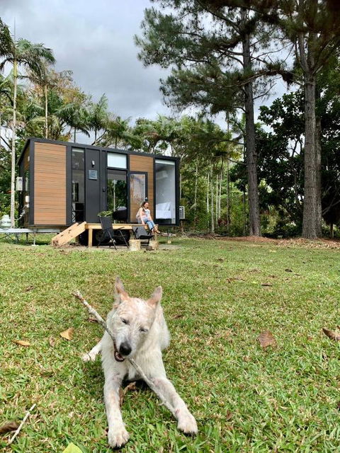 Piyar Tiny Haven By Tiny Away - Tourism TAS 1