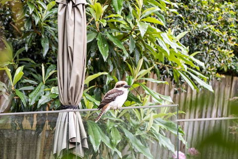 Quaint Queen Room - Central Location At Pymble - Shared Bathroom - Tourism TAS 1