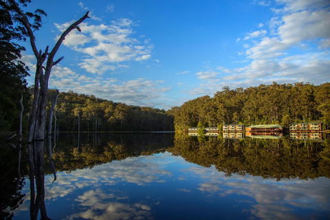 RAC Karri Valley Resort - Tourism TAS 3