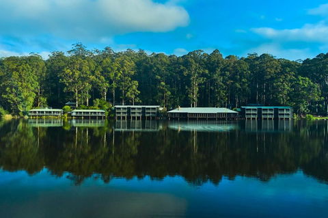 RAC Karri Valley Resort - Tourism TAS 2