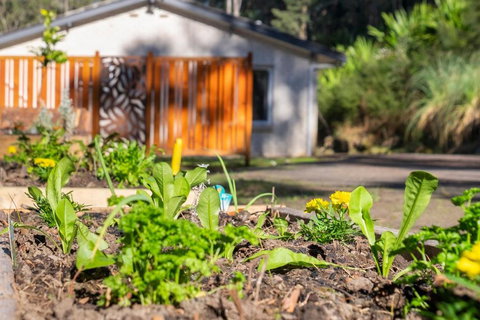 Pure Valley Estate - Tourism TAS 3