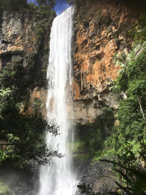 Purling Brook Falls Gwongorella - Tourism TAS 1