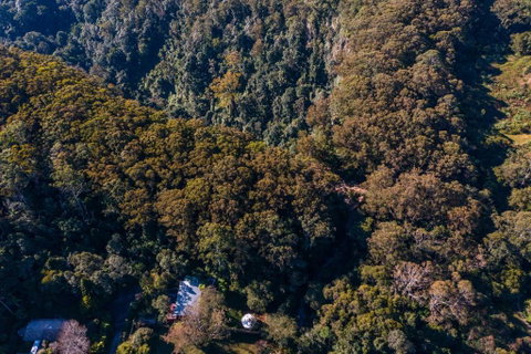 Purling Brook Falls Gwongorella - Tourism TAS 2