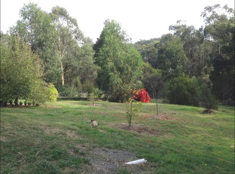 Rainy Hill Retreat - The Cottage - Hobart Tourism 1