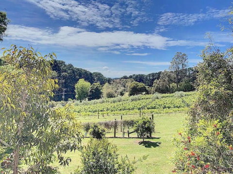 Red Hill Lane 5BedroomVineyard&RuralValleyViews - Tourism TAS 3