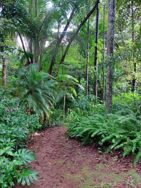 Rainforest Retreat-Fireplace-BBQ-3 Acres- - Tourism TAS 0