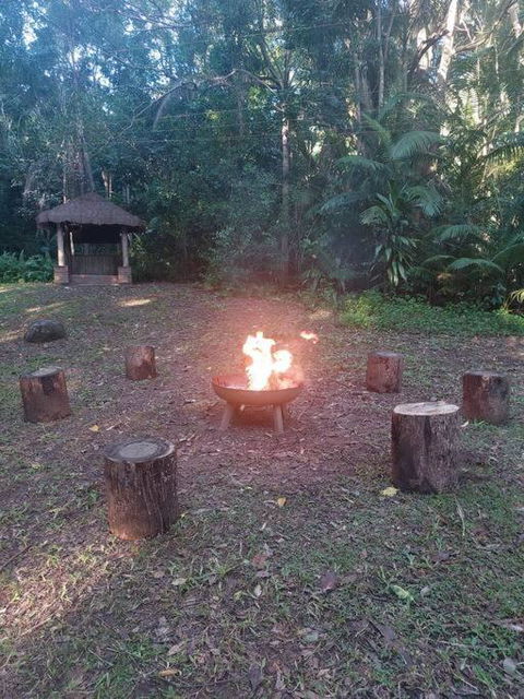 Rainforest Retreat-Fireplace-BBQ-3 Acres- - Tourism TAS 2