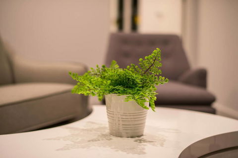 Astrina 2 Bed Value Apartment - Hobart Tourism 1