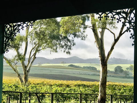Azalea Cedar-Rose Barossa Valley Villa - Tourism TAS 1