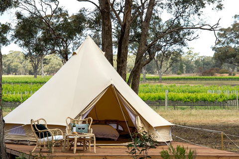Balgownie Estate Winery Retreat & Restaurant - Hobart Tourism 0