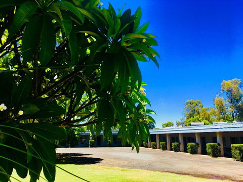 Balonne River Motor Inn - Tourism TAS 0