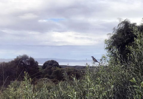 Banksia @ Cosy Corner - Hobart Tourism 1