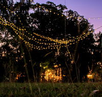 Banyan Tree - Hobart Tourism