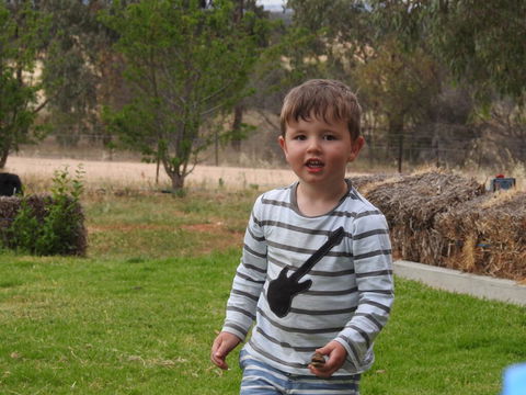 Barklysuites Apartments - Hobart Tourism 1