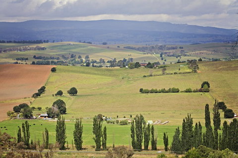Bathurst Goldfields Motel - Tourism TAS 2