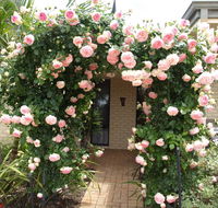 Baudins of Busselton Bed and Breakfast - Tourism TAS