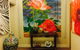 Bawlyn Room - thumb 3