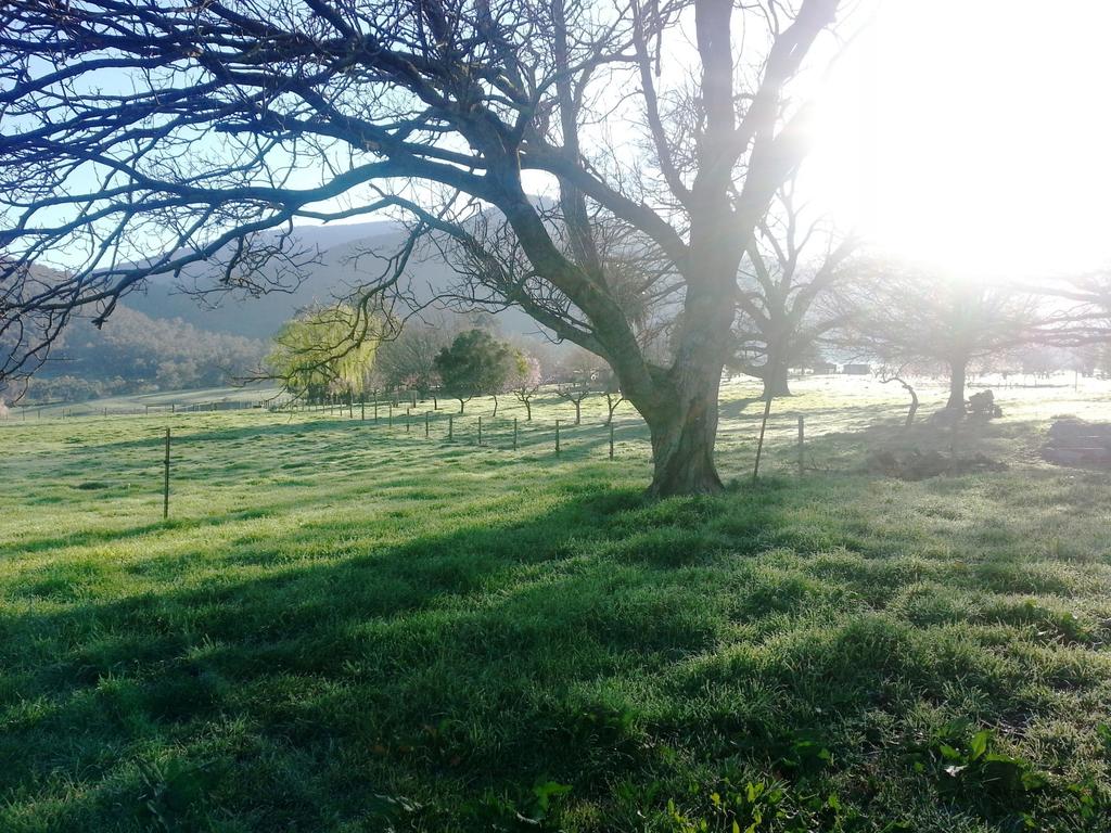 Dederang VIC Hobart Tourism