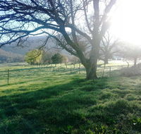 Bay Creek Guest House - Hobart Tourism