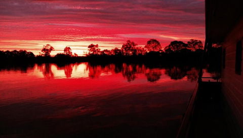 Rivershack Pet Friendly - Hobart Tourism 3