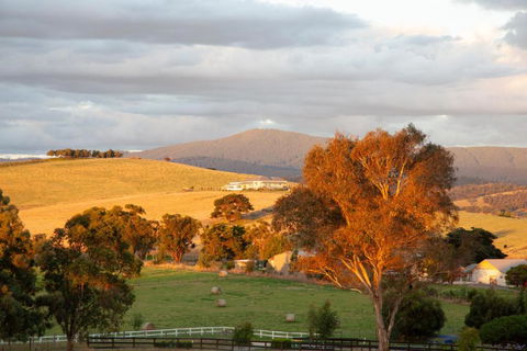 Rose Cottage Yarra Glen - Tourism TAS 1