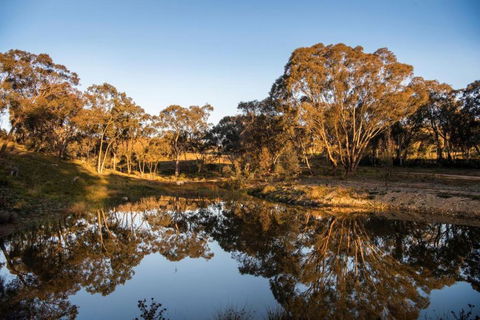 Rose Quartz - 1 Bed With Mountain Views - Kundalini Lodge - Tourism TAS 1