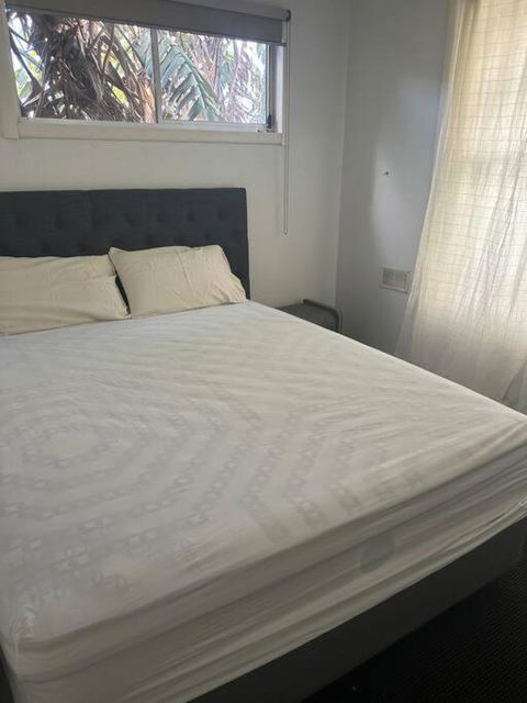 Royal Botanic Garden Yarra River - Hobart Tourism 0