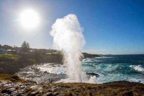 SALTY SOUL KIAMA - Tiny House By The Ocean - Hobart Tourism 3