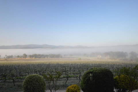 Sancerre Estate - Tourism TAS 3