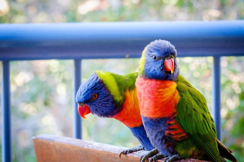 Sanctuary Lake Apartments - Tourism TAS 1