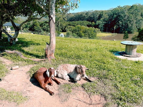 Seven Peaks Farm Stay - Tourism TAS 2