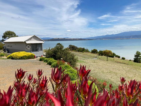 The Boat Shed - Hobart Tourism 2