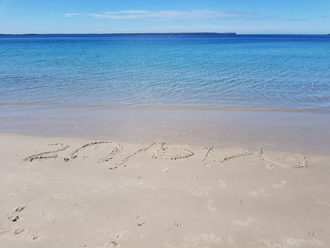 Beachside Husky - Waterfront - Hobart Tourism 0