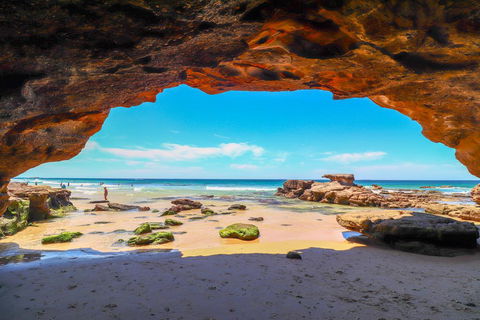 Beachside Oasis - Hobart Tourism 1