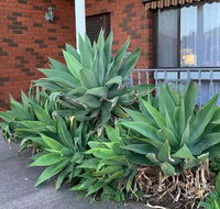 Beautiful Bedroom in Bentleigh East - Tourism TAS